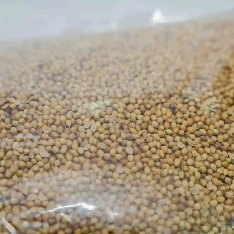 Coriander Seeds(1kg)