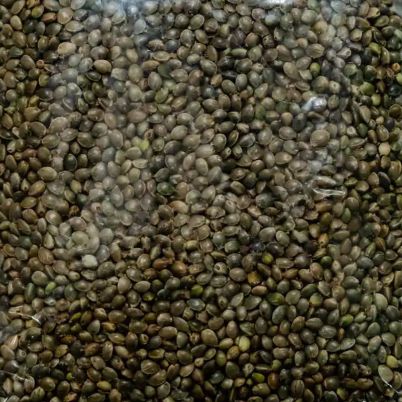 Bhaang(half kg)