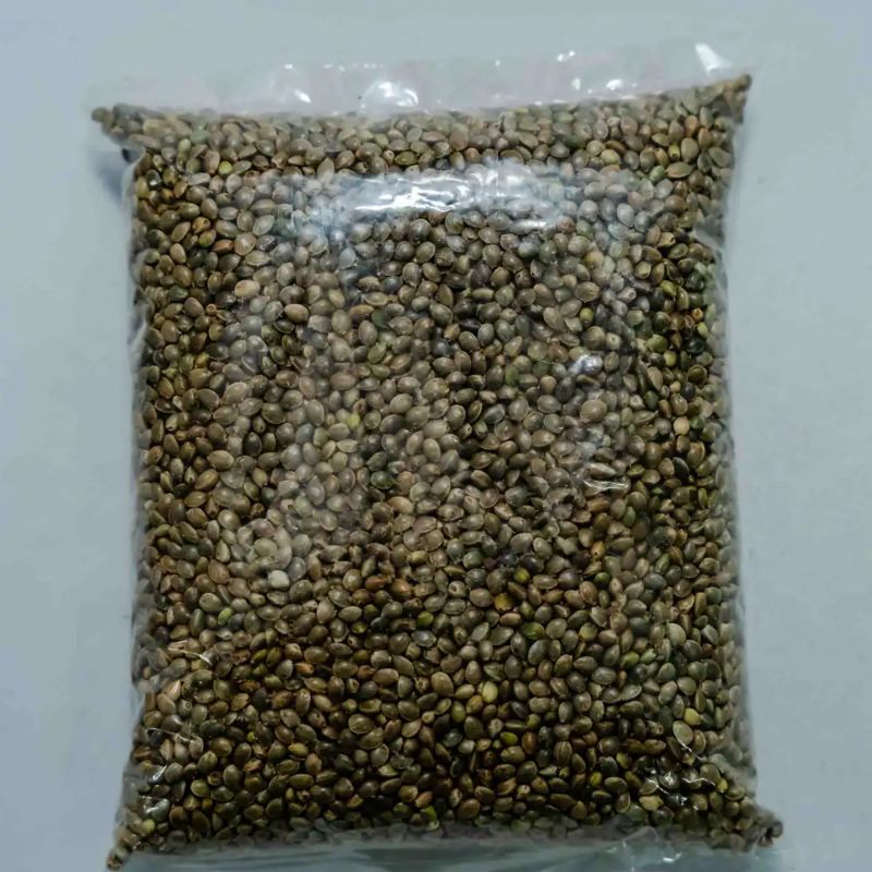 Bhaang(500gm)