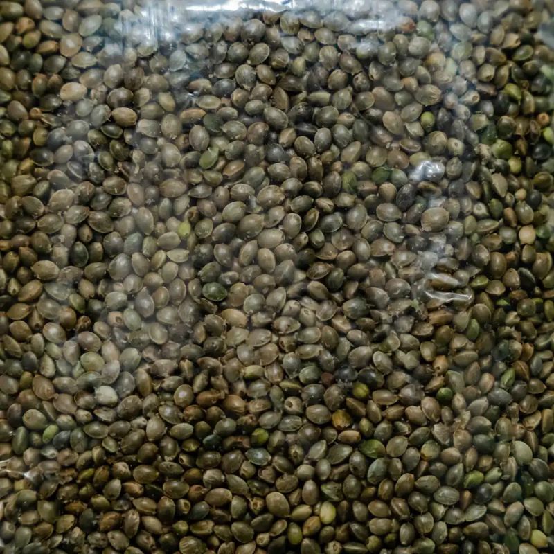 Bhaang(500gm)