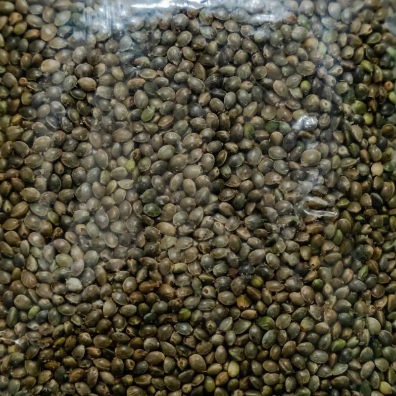 Bhaang (250gm)