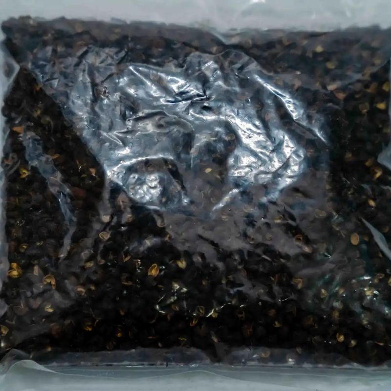 Timur (100gm)