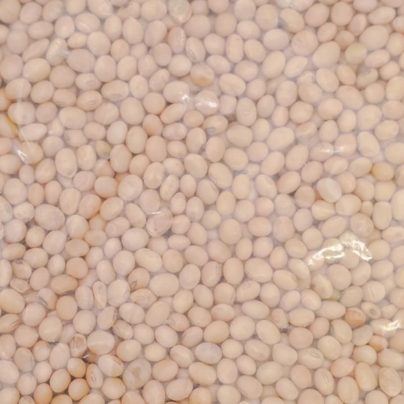 seto bhatmas (1 Kg)