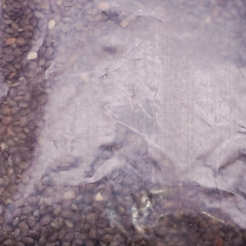 Gahat(1Kg)