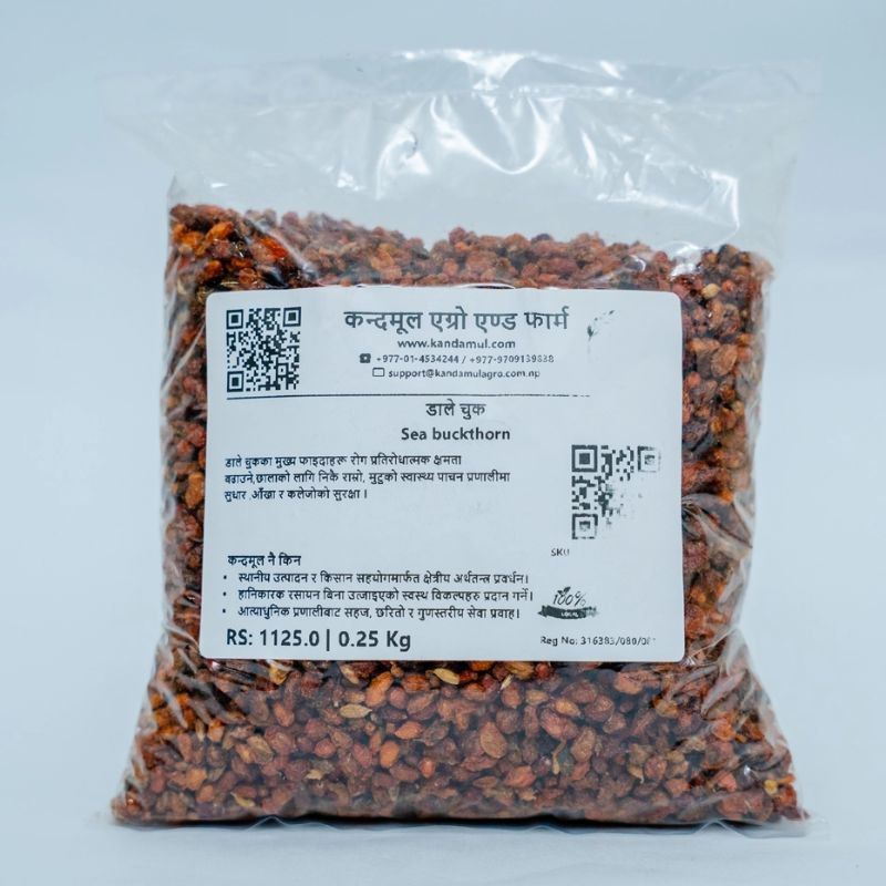 Sea buckthorn Seeds