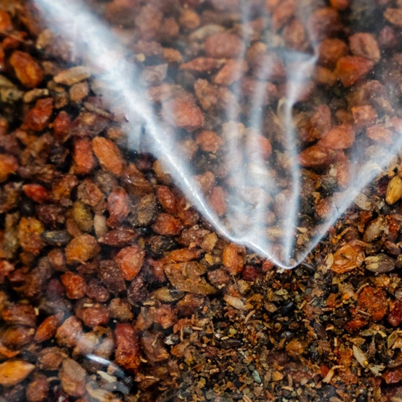 Sea buckthorn Seeds