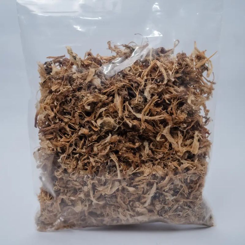 Mula ko sinki(50gm)