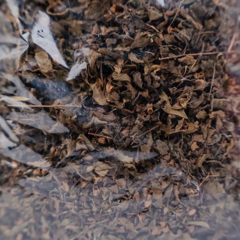 Dry Tulsi