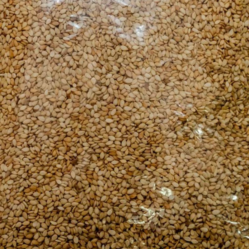 Seto teel(250gm)