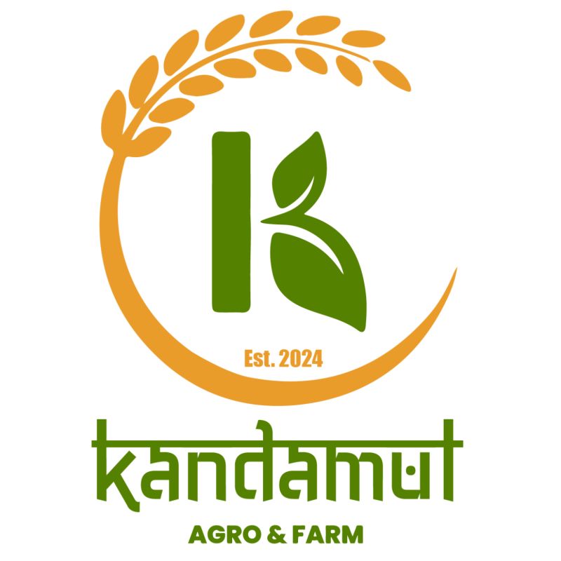 kalo daal (half kg)